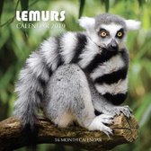 Lemurs Calendar 2019