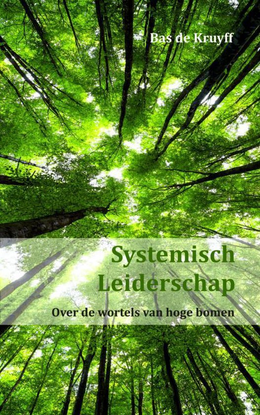 Systemisch Leiderschap - Bas de Kruyff | Northernlights300.org