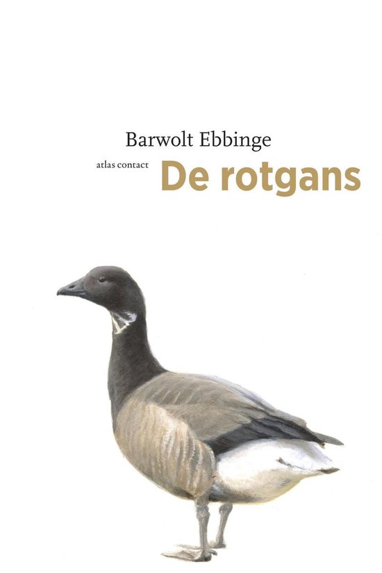 Vogelboeken - De rotgans - Barwolt Ebbinge | Nextbestfoodprocessors.com