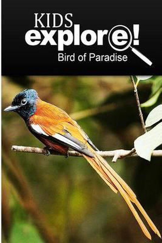 Birds Of Paradise - Kids Explore - cover