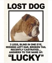 Wandbord - Lost Dog ''Lucky'' -14x20cm-