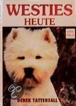 Westies Heute