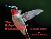 The Ruby-throated Hummingbird