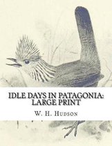 Idle Days in Patagonia