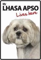 Lhasa Apso lives here