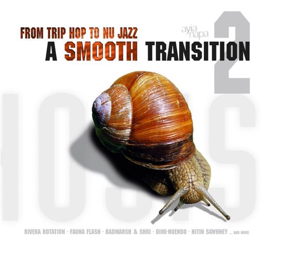From Trip Hop To Nu Jazz