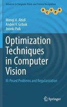 Optimization Techniques in Computer Vision