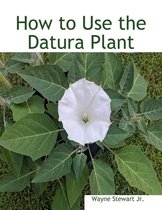 How to Use the Datura Plant