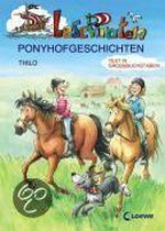 Lesepiraten-Ponyhofgeschichten. Großbuchstabenausgabe
