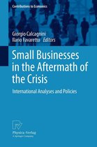 Contributions to Economics - Small Businesses in the Aftermath of the Crisis