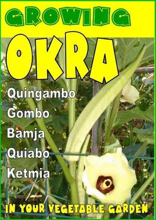 Growing Okra in your vegetable garden. - cover