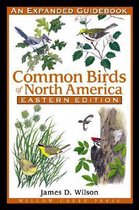 Common Birds of America