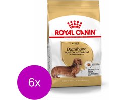 Royal Canin Dachshund Adult - Hondenvoer - 6 x 1.5 kg