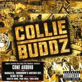 Collie Buddz