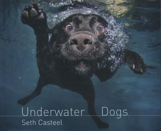 Zwarte Labrador zwemt onder water, met zijn kop naar de camera, bubbels rond zijn snuit. De titel 'Underwater Dogs' en 'Seth Casteel' zijn zichtbaar.