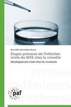 �tapes Pr�coces de l'Infection Virale Du Wss Chez La Crevette