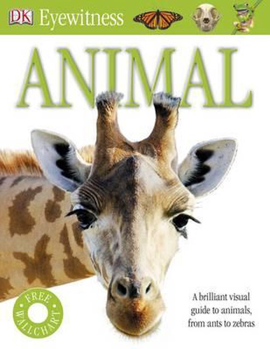 Animal
