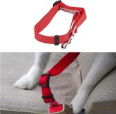 Dog Belt - Laisse pour chiens - Ceinture de voiture pour chiens - Rouge
