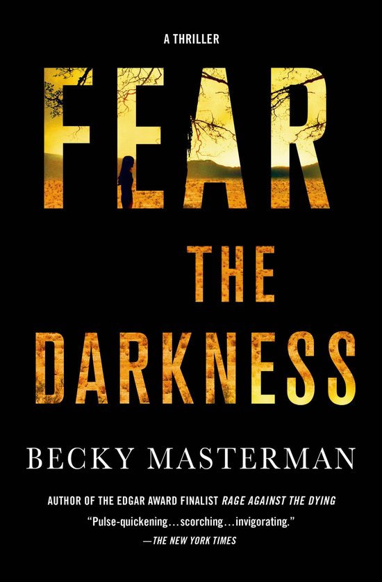 Brigid Quinn Series 2 - Fear the Darkness - cover