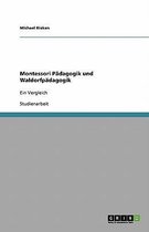 Montessori-Pädagogik und Waldorfpädagogik im Vergleich