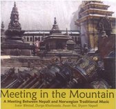 Various Artists - Meeting In The Mountain (CD)