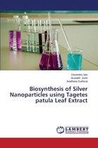 Biosynthesis of Silver Nanoparticles Using Tagetes Patula Leaf Extract