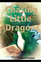 Chasing Little Dragons