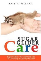 Sugar Gliders