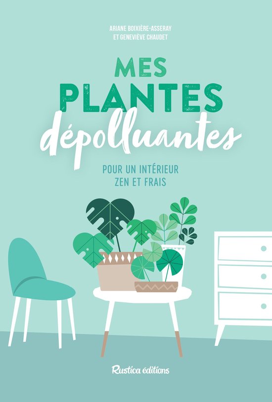 Mes plantes dépolluantes pour un intérieur zen et frais - cover