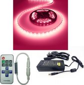 LEDstripSET ROZE | 12V DC - 14,4W - 60 LED's/m | incl driver en afstandsbediening | 5 meter