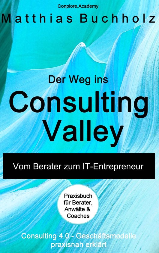 Der Weg ins Consulting Valley - cover