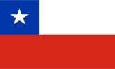 Vlag Chili 90 x 150 cm