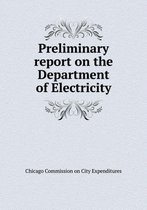 Preliminary report on the Department of Electricity