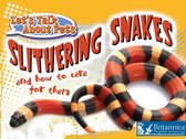 Let's Talk About Pets - Slithering Snakes and How to Care for Them