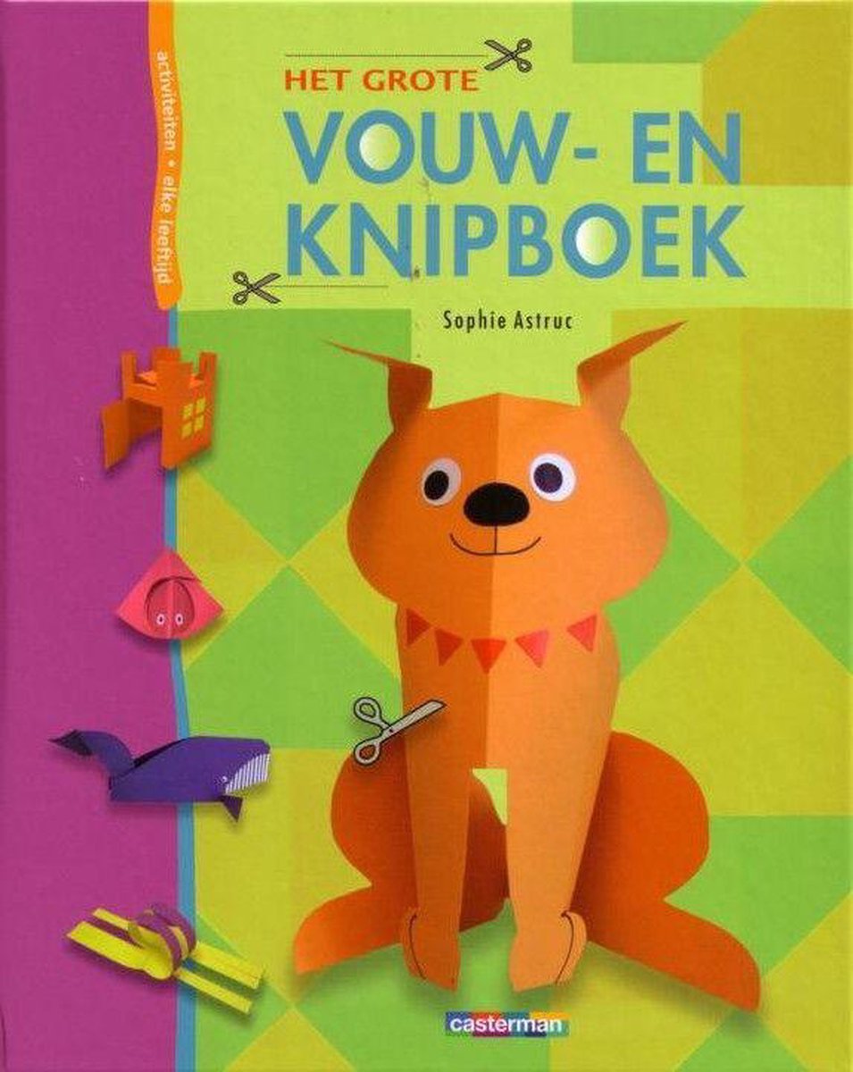 Het Grote Vouw- En Knipboek van Sophie Astruc