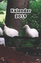 Kalender 2019