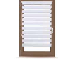 Rolgordijn - 81 x 156 cm - lichtdoorlatend