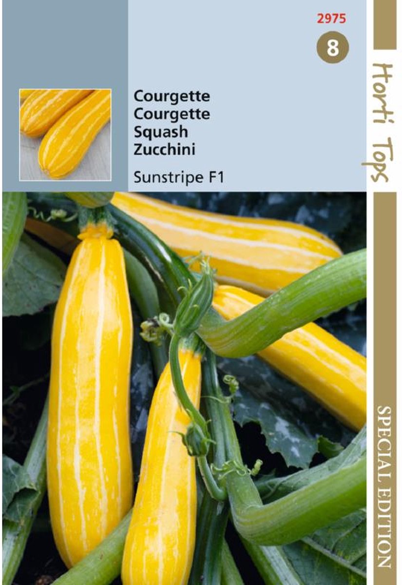 Courgette Jaune SunStripe F1