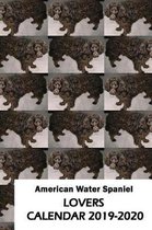 American Water Spaniel Lovers Calendar 2019-2020