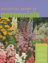 Pictorial Guide to Perennials