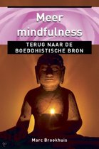 Meer Mindfulness, terug naar de boeddhistische bron