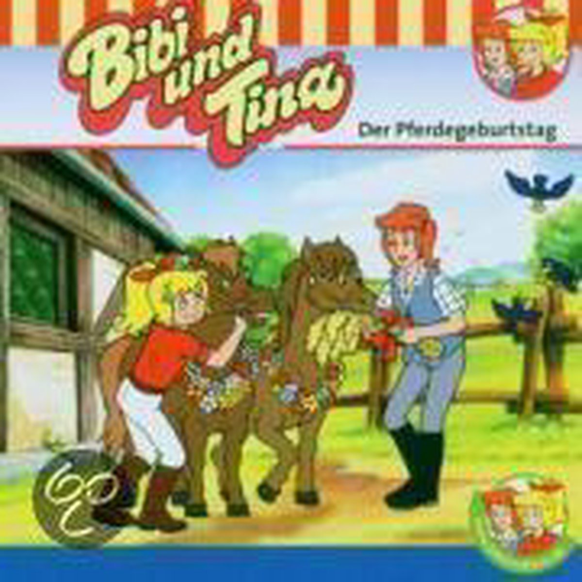 Bibi und Tina 27. Der Pferdegeburtstag