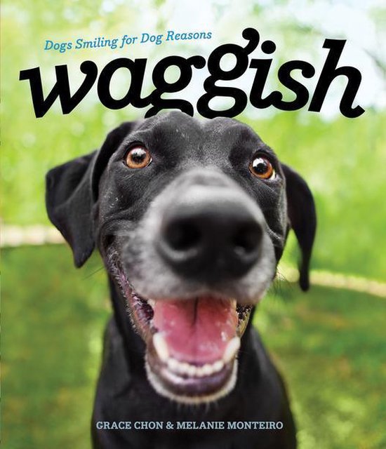 Waggish - cover