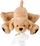 Rufus Golden Puppy