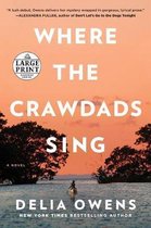 Omslag Where the Crawdads Sing