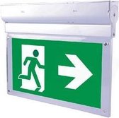 Opbouw Noodwegverlichting Pijl Schuinomlaag Links / Rechts Taurac