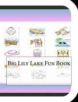 Big Lily Lake Fun Book