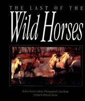 The Last of the Wild Horses