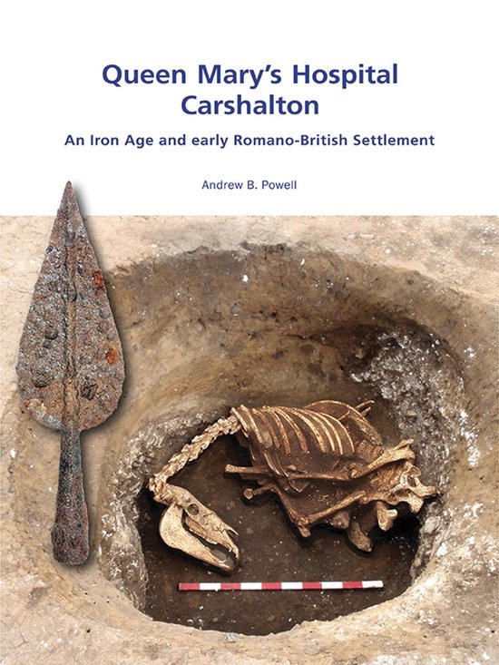 Wessex Archaeology Occasional Paper - Queen Mary's Hospital, ... - cover