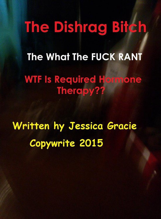 The Dishrag Bitch 1 - The Dishrag Bitch What The FUCK Rant W ... - cover